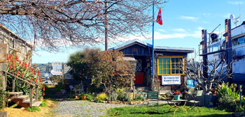 Butterflutes Wedding Chapel in Sausalito California